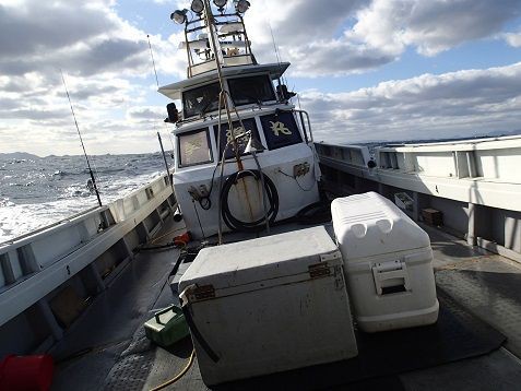 幸漁丸　バナペン　BANAPEN 220F 幸漁丸 バナペン BANAPEN 220F 送料無料 幸漁丸 バナペン 220F