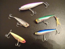 お薦めトップウォーター for チヌ＆シーバス : ～南船北馬～