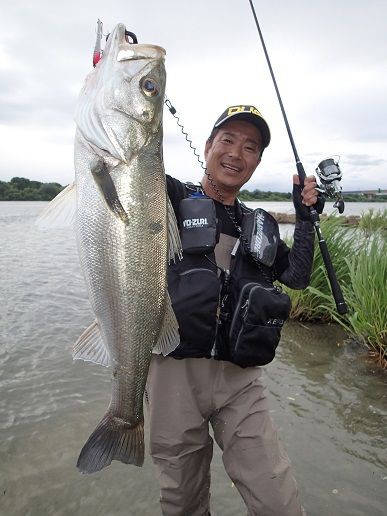 新潟県阿賀野川のリバーシーバス 南船北馬