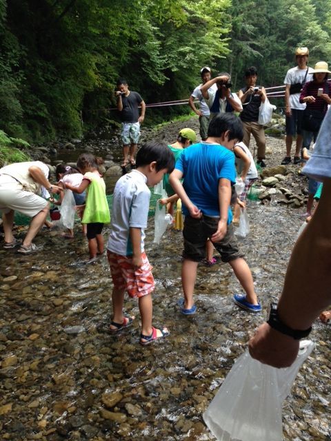 さかな釣り 秋川渓谷 そろそろがんばろう