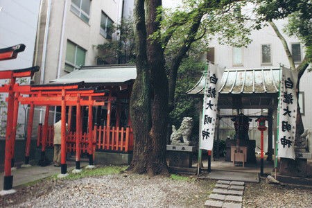 小野八幡神社 兵庫 阪神 旅を探しに 週末どこいこ