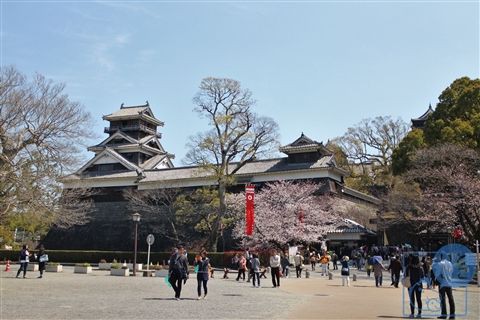 熊本城 熊本 県央 旅を探しに 週末どこいこ