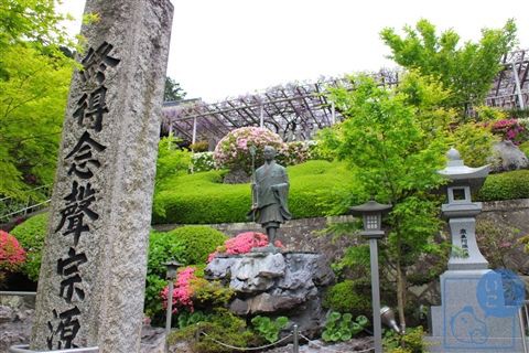 吉祥寺 藤まつり 福岡 北九州 旅を探しに 週末どこいこ