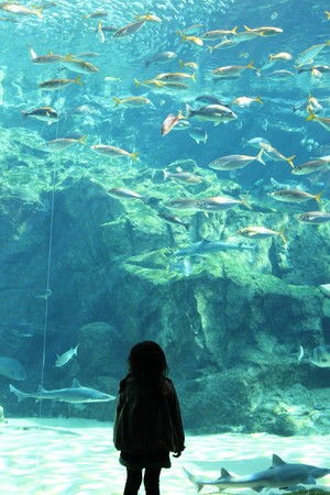 海きらら 長崎 県北 旅を探しに 週末どこいこ