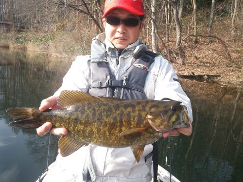 バス ワカサギ 木崎マスと多魚種です 木崎湖モダンボートブログ バス ワカサギ 木崎マスと多魚種です 木崎湖モダンボートブログ