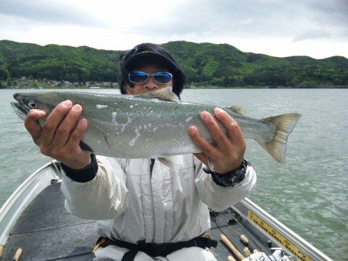 キザキマス５６ｃｍ 木崎湖モダンボートブログ