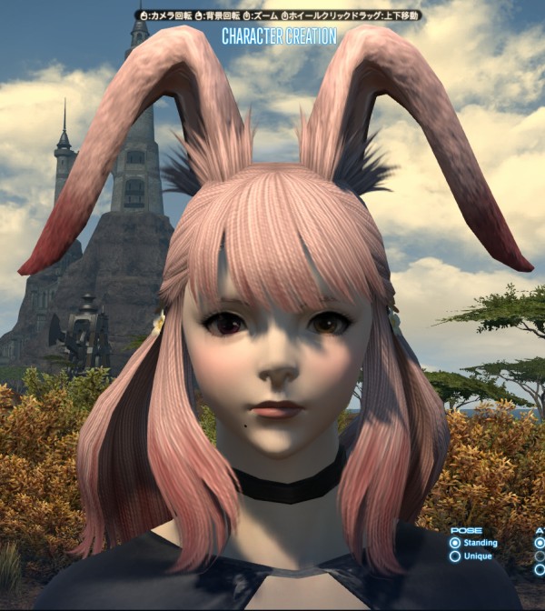 Ff14 新種族のヴィエラさんをキャラメイクしてみるのだ メルメルダイアリー