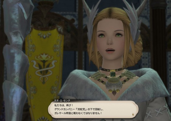 ff14 コレクション グランドカンパニー 双蛇 服