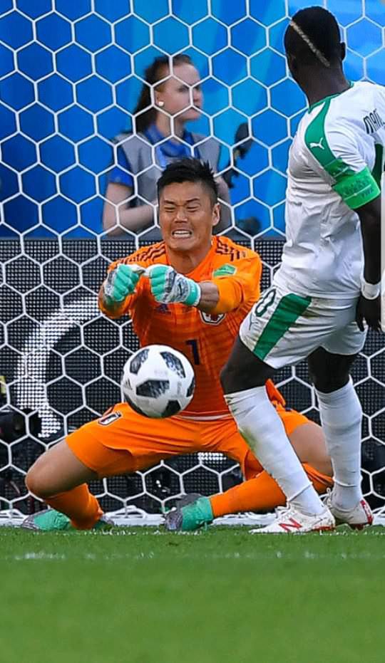 サッカー Gk川島 パンチング失点でwiki書き換え炎上 セネガル代表 プロボクサー Moeazuのblog