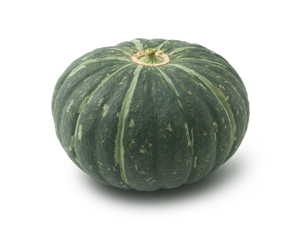 懐アニ The かぼちゃワイン エルちゃんは ストーカー 一途なだけ