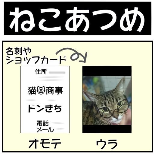 New Game ねこあつめ Mencosquedamono妄想商品開発室 New Game ねこあつめ Mencosquedamono妄想商品開発室
