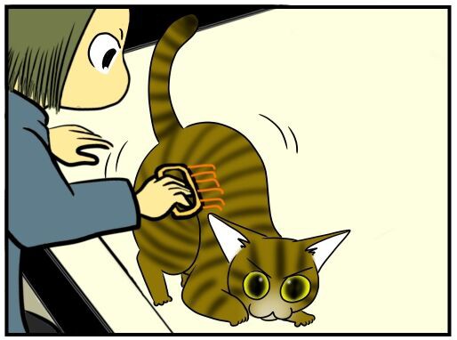 見えないけど いる 飼い主には見えない何かに飛びかかる うちの猫の視線の先には メンコスケダモノ 猫3匹とゲーマーのもふもふ生活漫画絵日記 Powered By ライブドアブログ