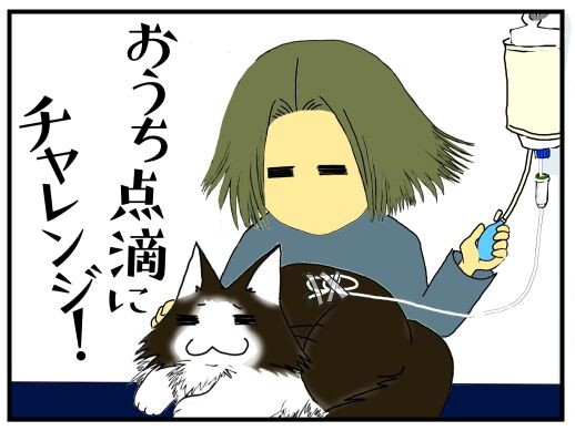 マーたん闘病記１９ おうち点滴にチェレンジ 病気に盆も正月も無いので 自宅点滴はじめました うちの猫闘病中 メンコスケダモノ 猫3匹とゲーマーのもふもふ生活漫画絵日記 Powered By ライブドアブログ