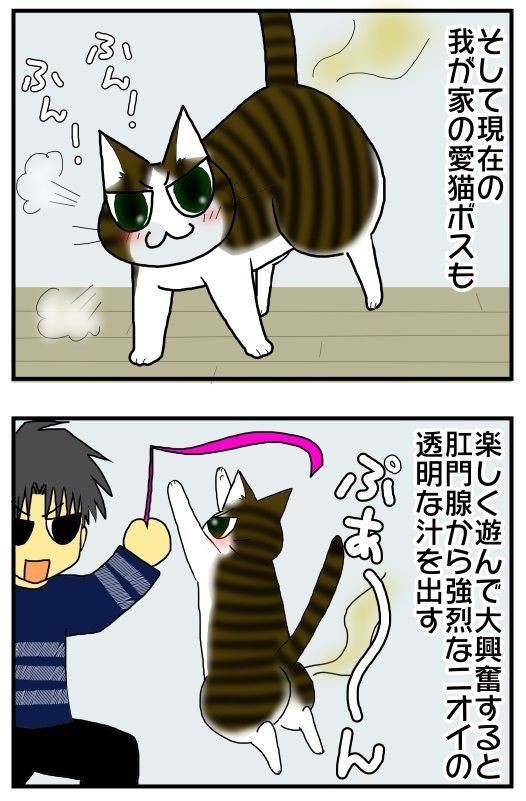 猫 大興奮クサクサ汁の秘密 メンコスケダモノ 猫3匹とゲーマーのもふもふ生活漫画絵日記 Powered By ライブドアブログ