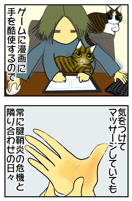 闘え 腱鞘炎 メンコスケダモノ 猫3匹とゲーマーのもふもふ生活漫画絵日記 Powered By ライブドアブログ