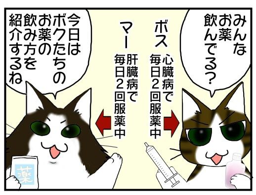うちの猫の お薬の飲み方 飲ませ方 猫 投薬 メンコスケダモノ 猫3匹とゲーマーのもふもふ生活漫画絵日記 Powered By ライブドアブログ