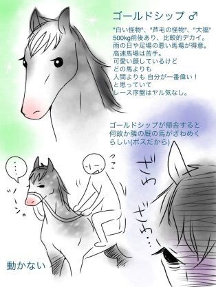 50 ゴールドシップ かわいい かわいい犬のアニメ