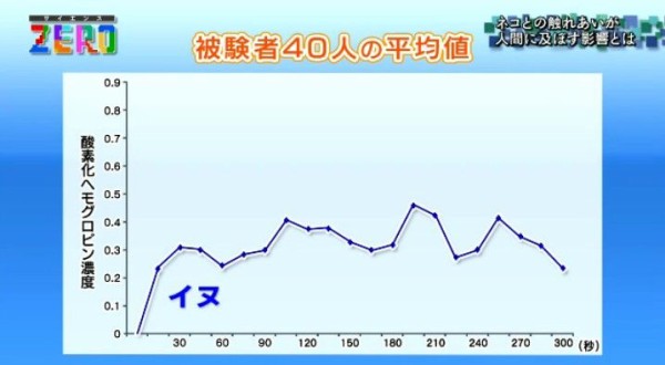 Nhkサイエンスzero ニャンとびっくり 科学で探る ネコとヒトとの優しい関係 Twitter反応 まとめ もふもふちゃんねる