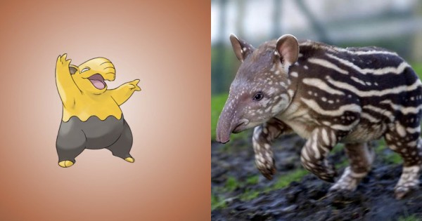 ポケモンは実在した ﾟdﾟ ポケモン のモデルになった生き物たち14選 もふもふちゃんねる