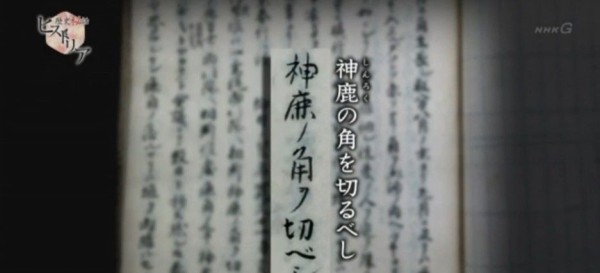 Nhk歴史秘話ヒストリア 奈良 ここにシカない奇跡 Twitter反応 まとめ もふもふちゃんねる