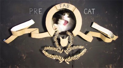 段ボールが大好きな愛猫のために作った手作りの大型ダンボールハウスが話題に もふもふちゃんねる