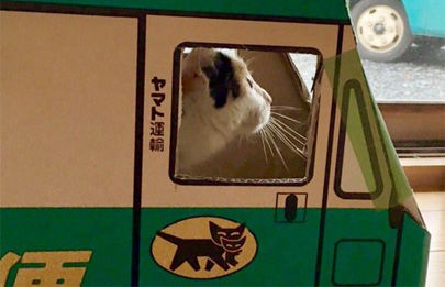 クロネコヤマトの猫営業所でお仕事中のニャンコ 本物のお兄さんに笑われる もふもふちゃんねる