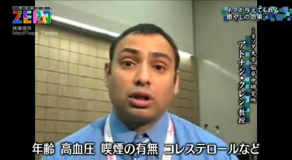 Nhkサイエンスzero ニャンとびっくり 科学で探る ネコとヒトとの優しい関係 Twitter反応 まとめ もふもふちゃんねる