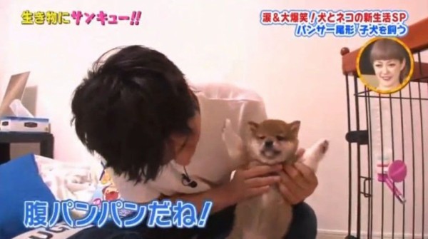 Tbsトコトン掘り下げ隊 生き物にサンキュー 犬 ネコの新生活スペシャル Twitter反応 まとめ もふもふちゃんねる