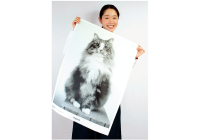 本日より開催 日本橋三越本店 ねこ 猫 ネコ フェスティバル 開催 5月はネコ月間 もふもふちゃんねる
