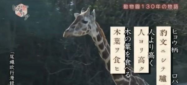 Nhk歴史秘話ヒストリア あしたは動物園に行こう 前篇 Twitter反応 まとめ もふもふちゃんねる