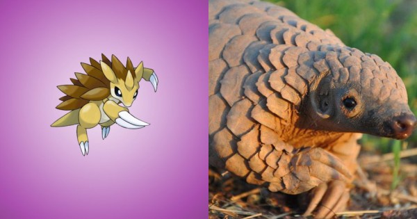 ポケモンは実在した ﾟdﾟ ポケモン のモデルになった生き物たち14選 もふもふちゃんねる