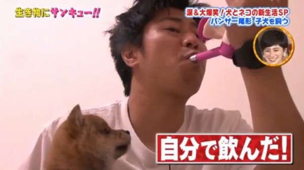 Tbsトコトン掘り下げ隊 生き物にサンキュー 犬 ネコの新生活スペシャル Twitter反応 まとめ もふもふちゃんねる