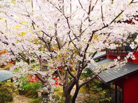 とうふ屋うかい 鷺沼店 再訪 転ばぬ先のtsue