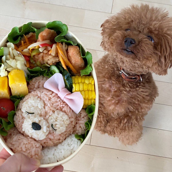 おねんねシェリーメイのお弁当 キャラ弁 高速動画あり Momo S Obentou キャラ弁 Powered By ライブドアブログ