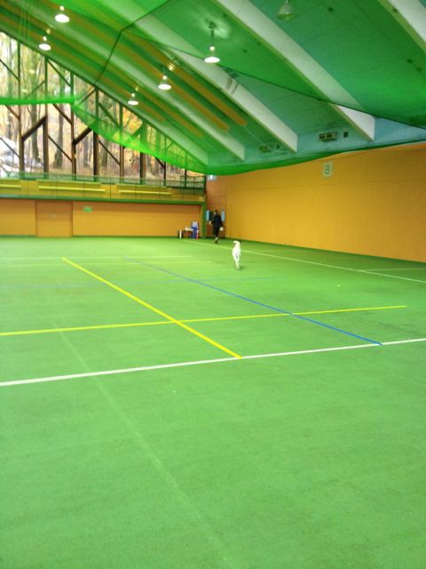 ドッグリゾートワフ 俺旅行記 たまに近所 そして犬