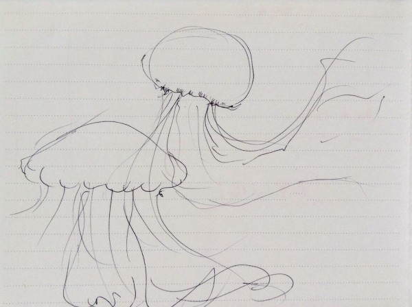 クラゲ 魚イラスト クロッキーを素人がひたすら描き続けるブログ