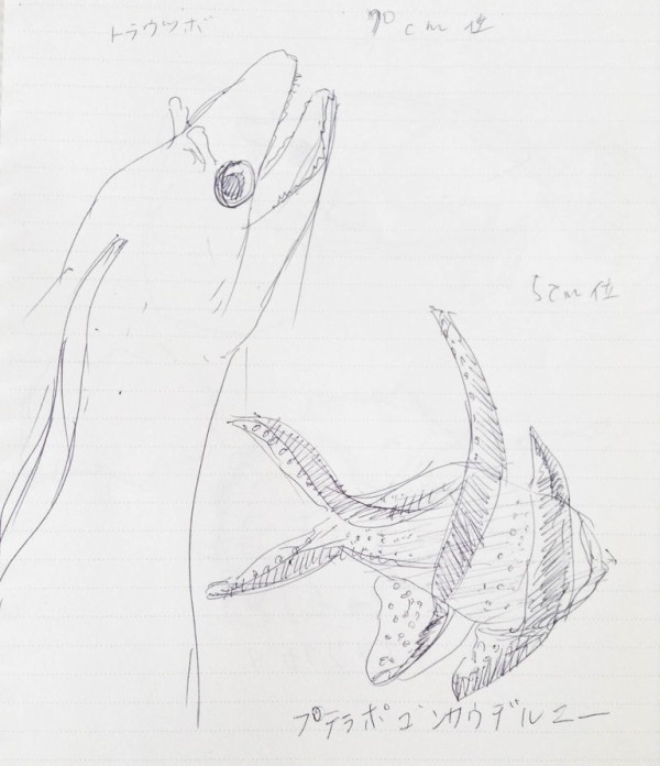 トラウツボとプテラポゴンカウデルニー 魚イラスト クロッキーを素人がひたすら描き続けるブログ