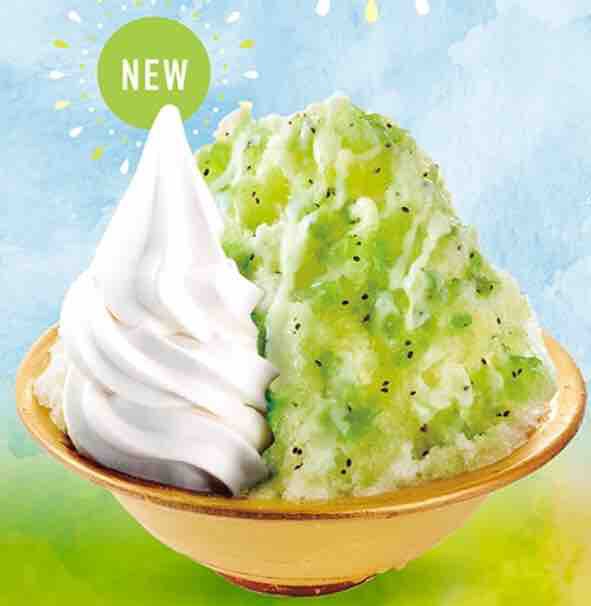 コメダ名物のかき氷はまるでチョモランマ ふわふわで驚きの大きさだった19年夏 節約と副収入で貯金を増やすブログ 目指せ金持ちライフ