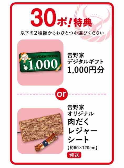 吉野家オリジナル 肉だくレジャーシート - 菓子