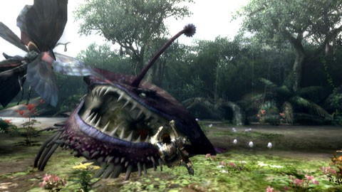 モンハン チャナガブルとかいうみんなが忘れがちなモンスター モンハンライズ2chまとめ速報 Mhrise攻略