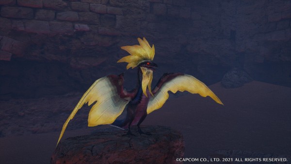 Mhrise ウミウシボウズとかいう希少生物ｗｗｗｗ モンハンライズ モンハンライズ サンブレイク2chまとめ速報 Mhrise攻略