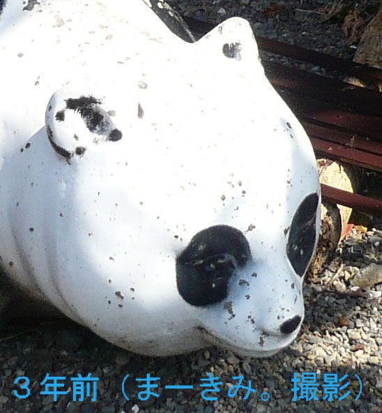 全国ニュースで紹介された御荘馬瀬山公園のパンダ 気功的整体師の奮戦記