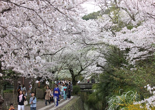 哲学の道の名前の由来 京都の外に住む京都好きのブログ