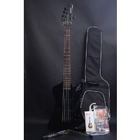 サンダーバードの5弦アクティブ仕様！ Epiphone Thunderbird Pro-5 in