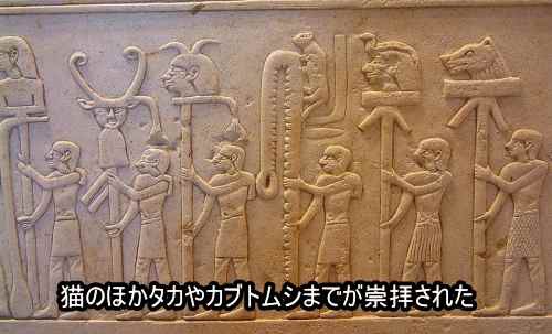 古代エジプトと猫 猫の黄金期から衰退まで 吾輩は猫である