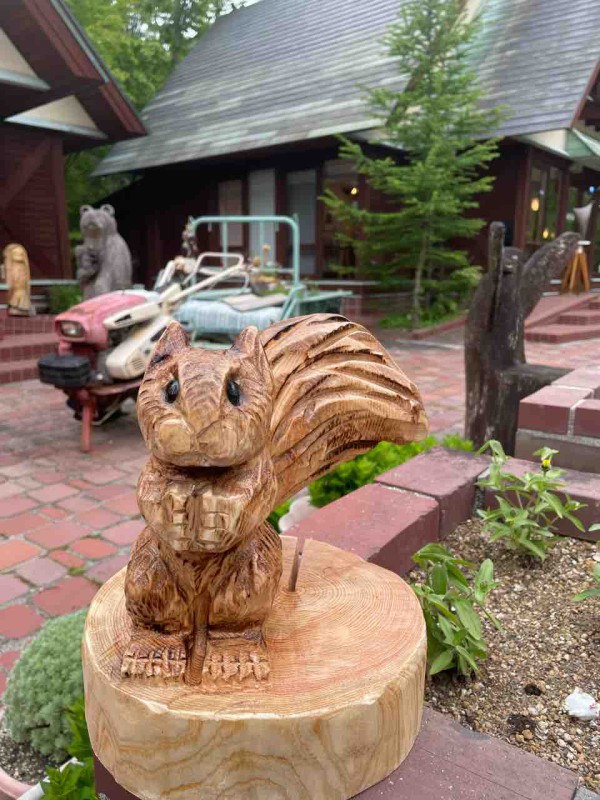 スモークツリードライフラワー : 森の日曜日の看板犬もものblog