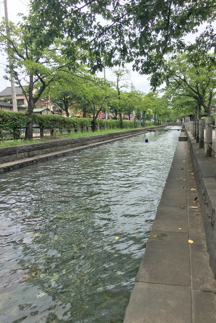 四季の夏休み たぬきパラダイス