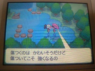 つよいポケモン よわいポケモン そんなのひとのかって ほんとうにつよいトレーナーなら すきなポケモンでかてるよう がんばるべき Sela S Dialy