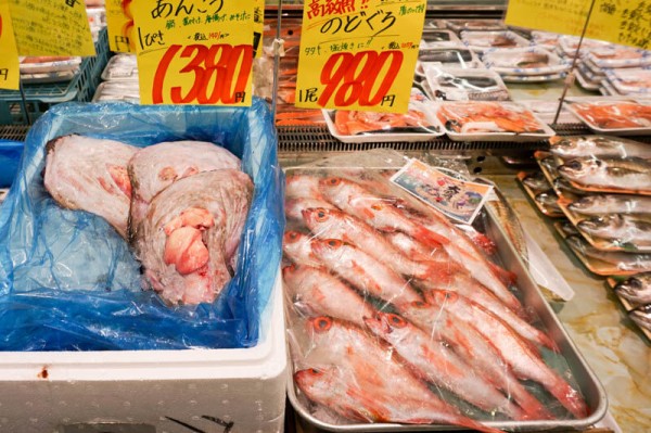 鮮魚が豊富！お寿司もある！たこ焼き屋さんじゃないよ「たこ一（たこ