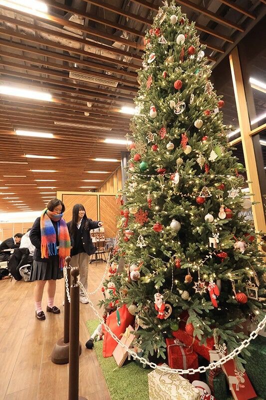 安満遺跡公園に3m超えクリスマスツリー展示されてる : 高槻つーしん